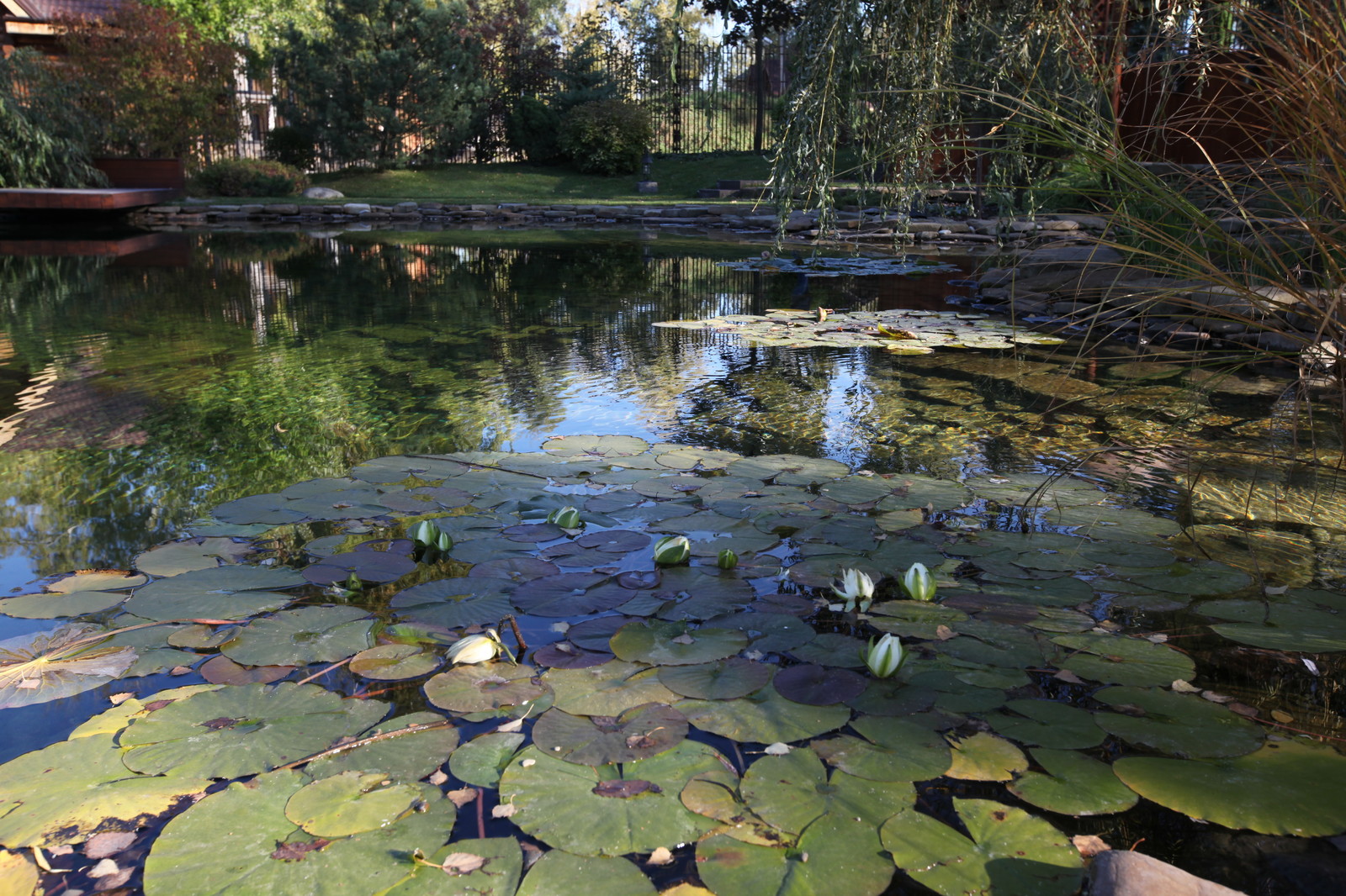 Сказочный мир в предместье Орла