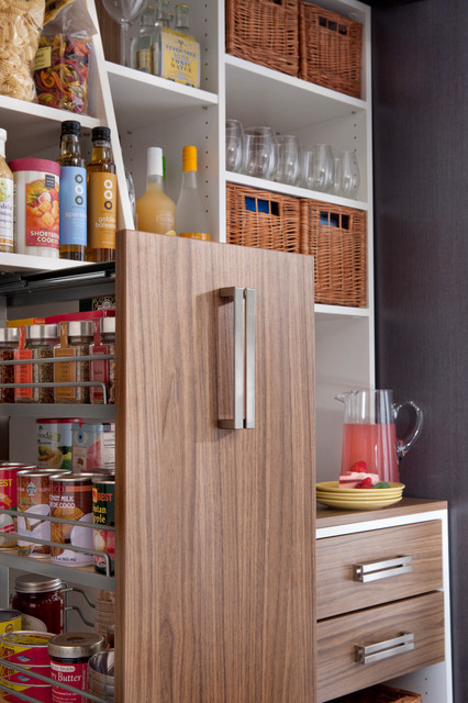 Pantry Pull-out Cabinet & Organizer