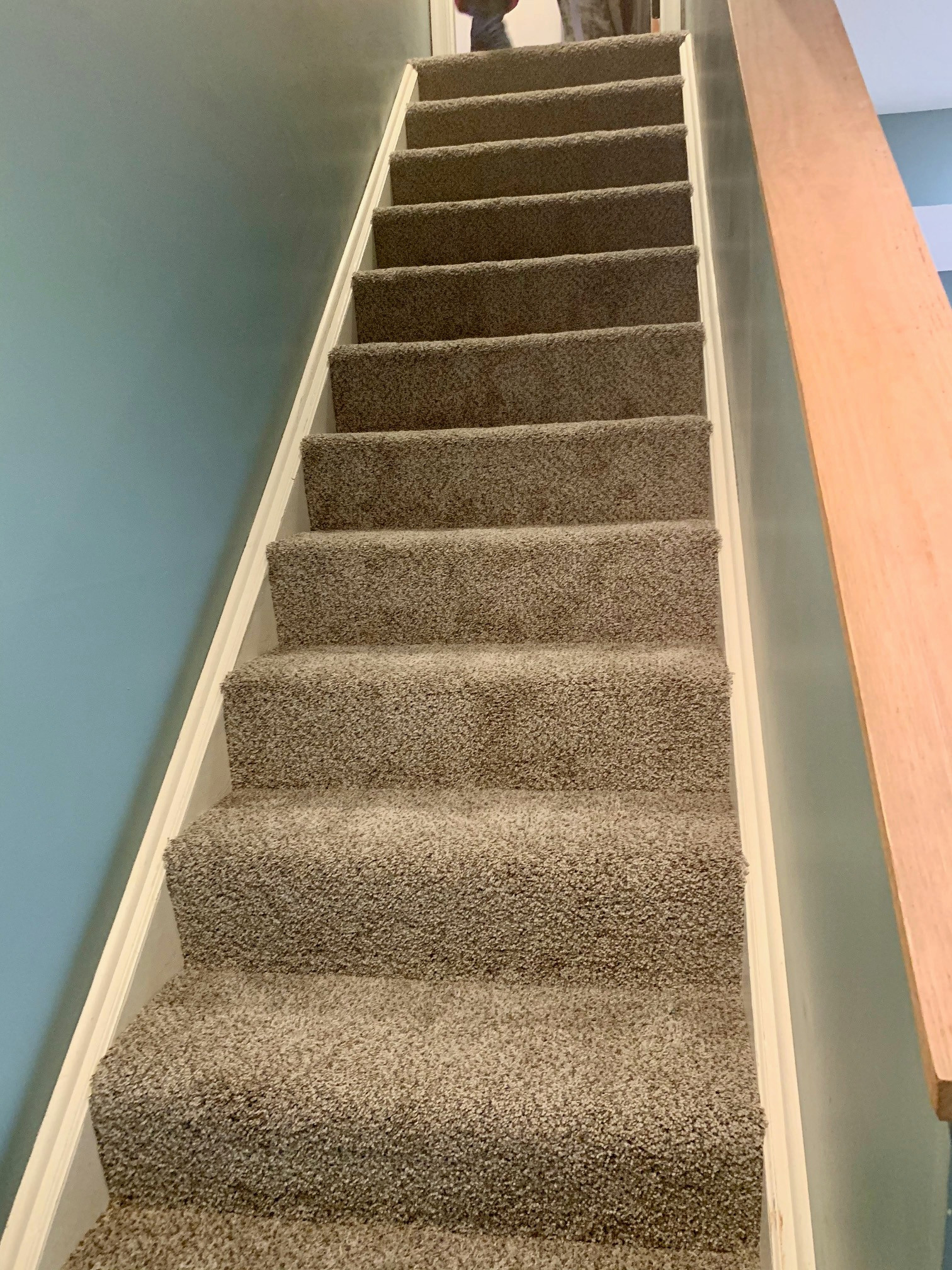 Carpet