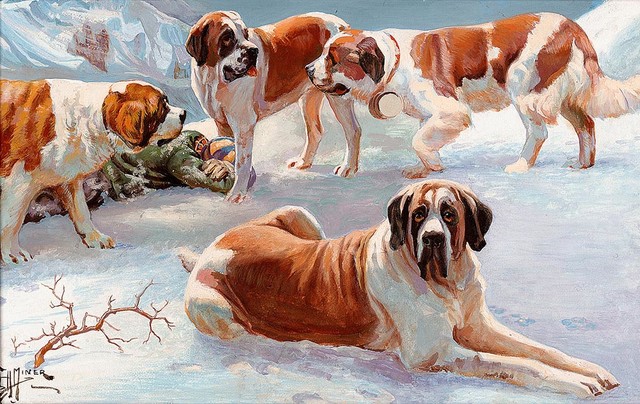 Saint Bernard Dogs Wallpaper Wall Mural Self Adhesive