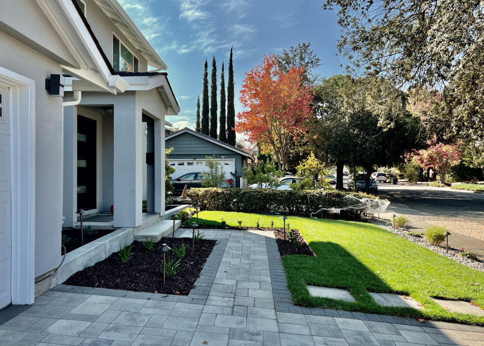 West San Jose  Contemporary