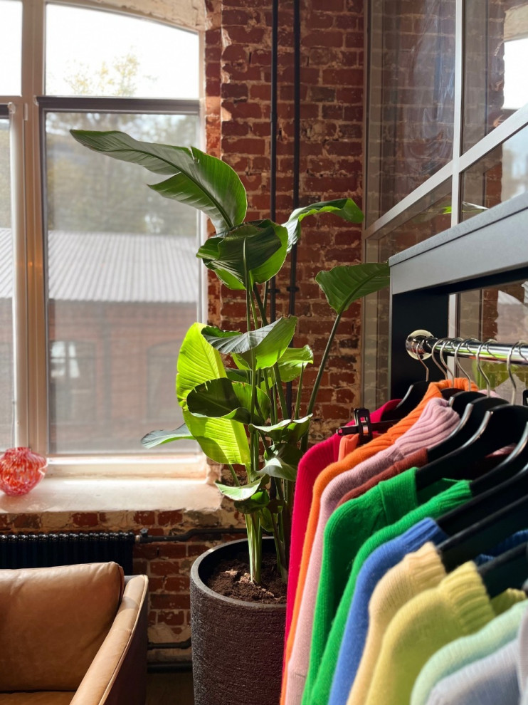 Шоурум Monncashmere