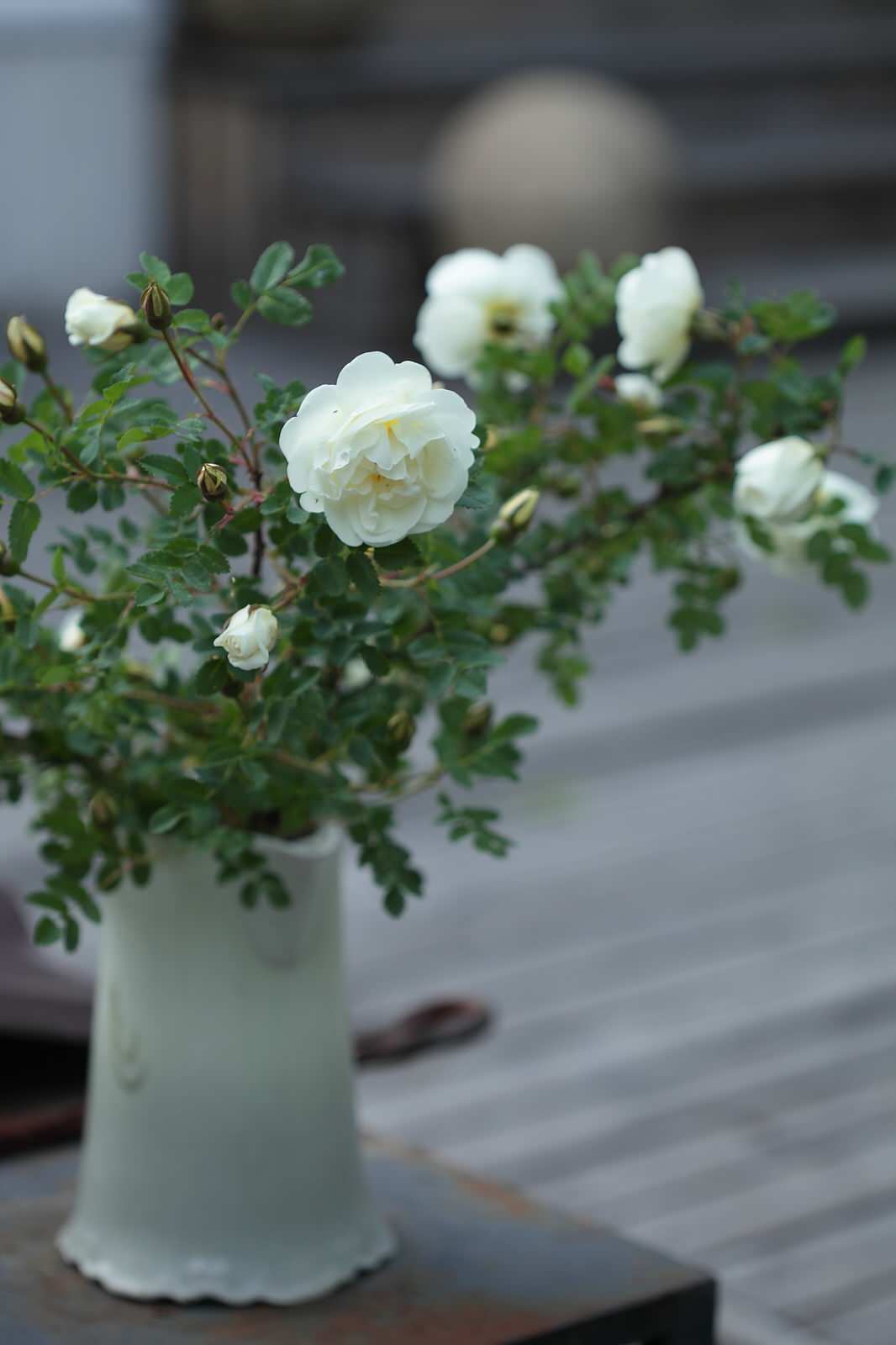 Садовые букеты