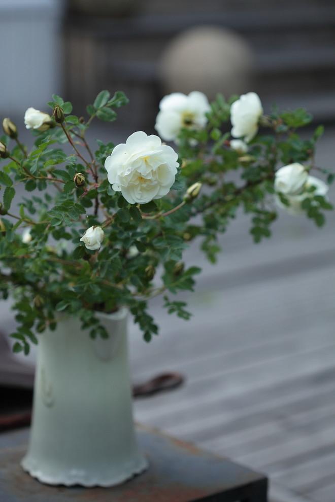 Садовые букеты