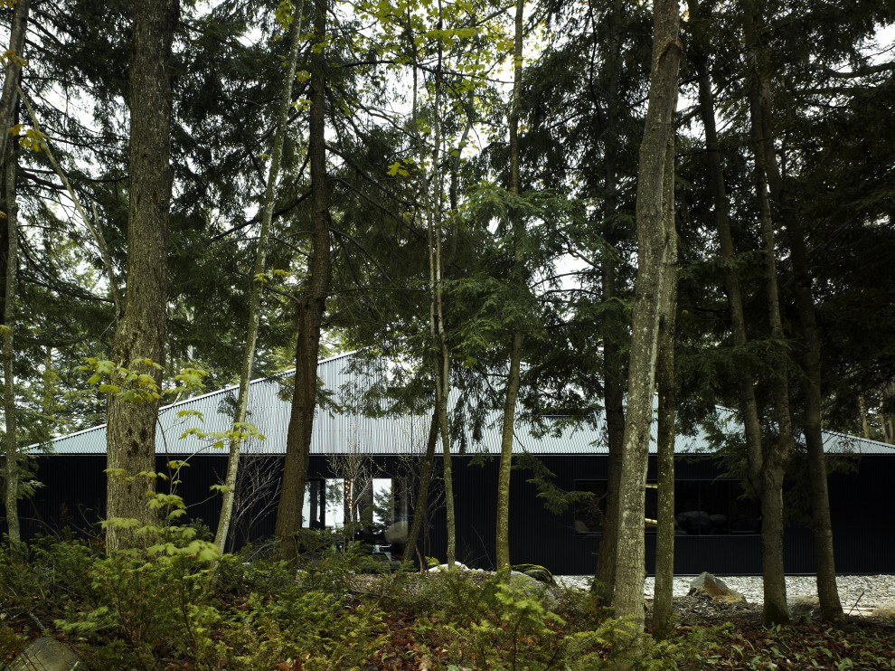 Immagine della villa grande nera contemporanea a un piano con tetto a padiglione, copertura in metallo o lamiera, tetto nero e pannelli e listelle di legno