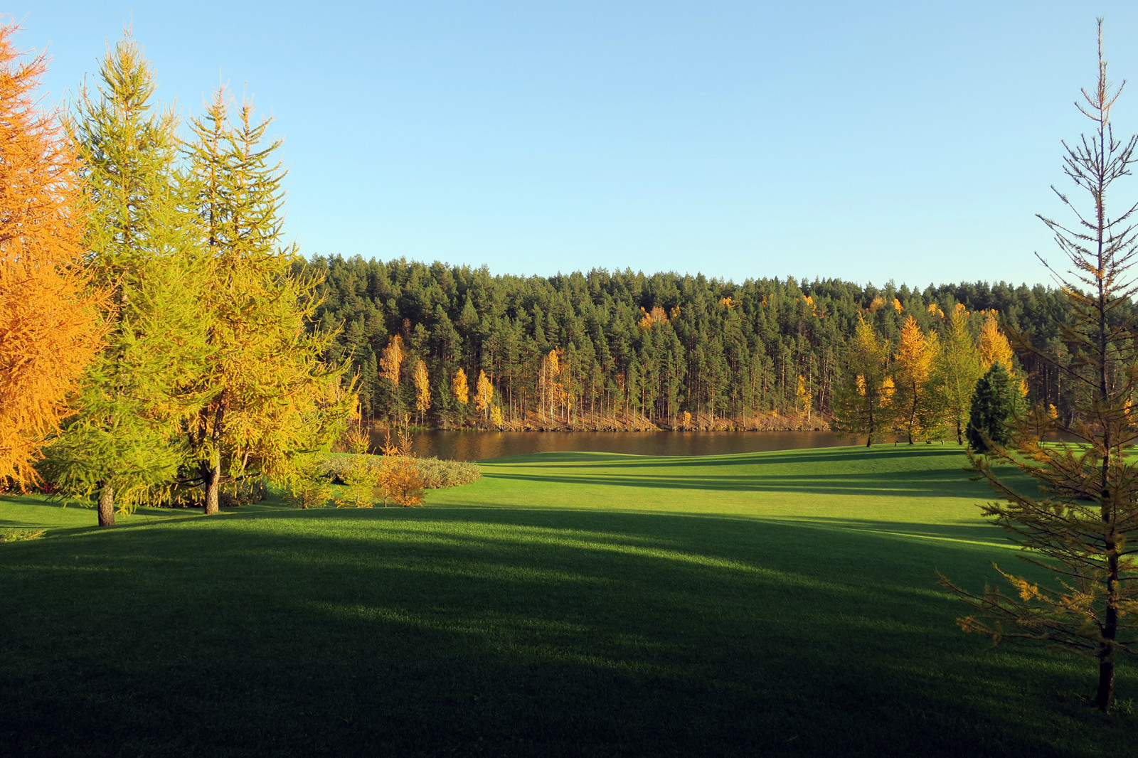 Новый пейзаж