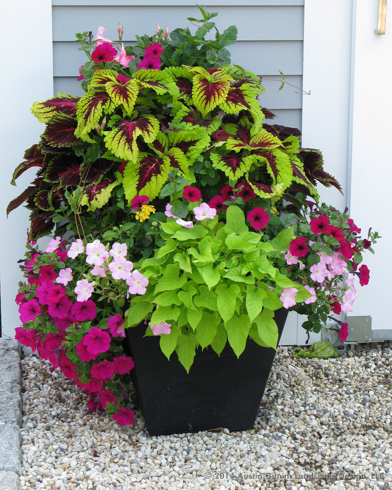 Inspiration for a traditional front yard partial sun garden for summer in New York with a container garden.