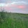 lisa_gilbert7382061