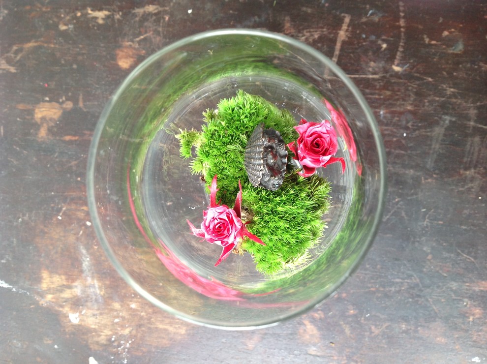 Фэншуй композиция_райский сад для Ганеши