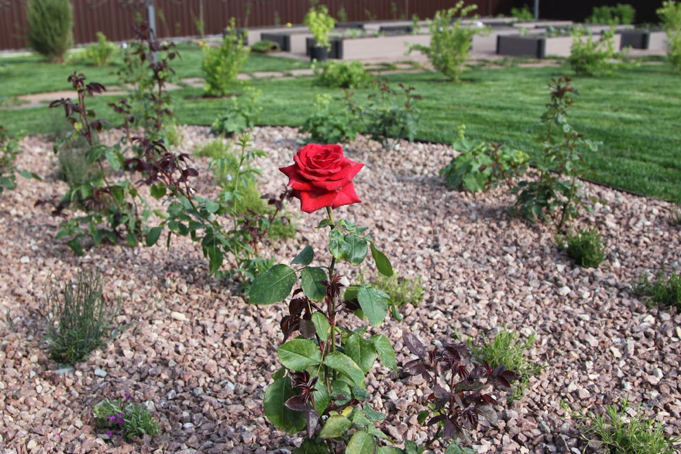 КП Солнечный город