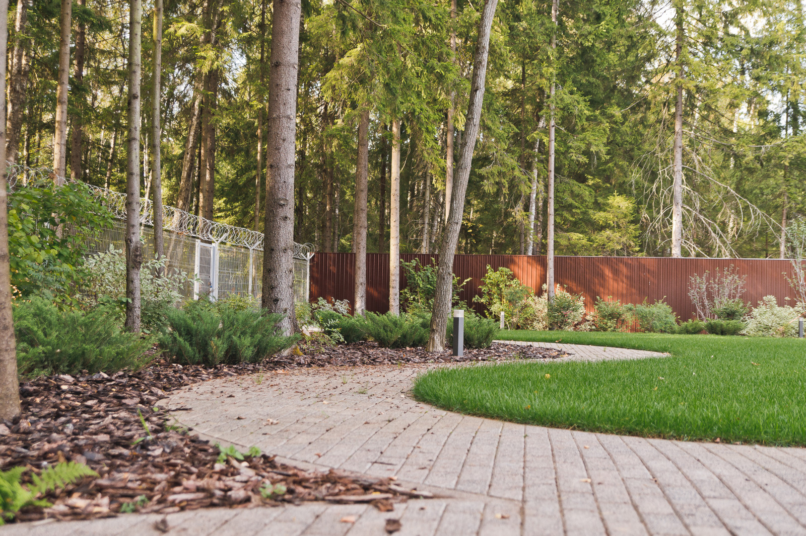 Сад на краю леса