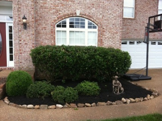 Inspiration for a mid-sized transitional full sun front yard landscaping for spring.