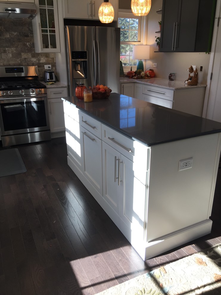 Inspiration for a transitional kitchen remodel in Chicago