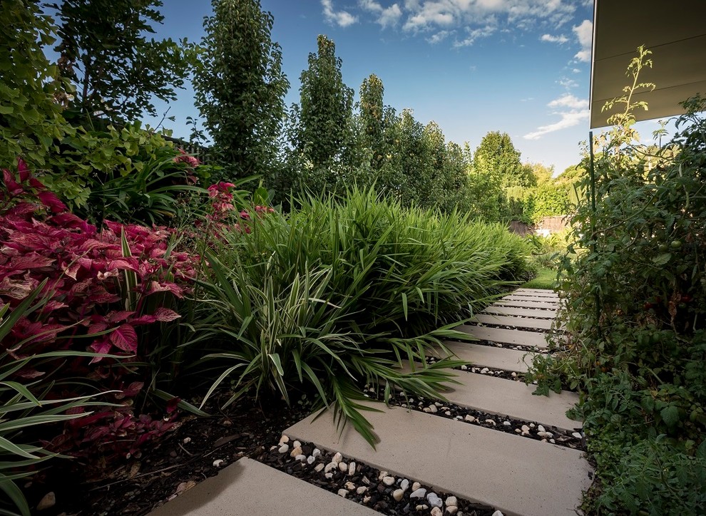Inspiration for a modern side yard garden in Adelaide with a garden path and concrete pavers.