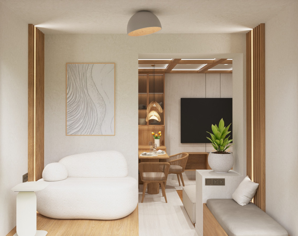 Проект квартиры в Москве, джапанди