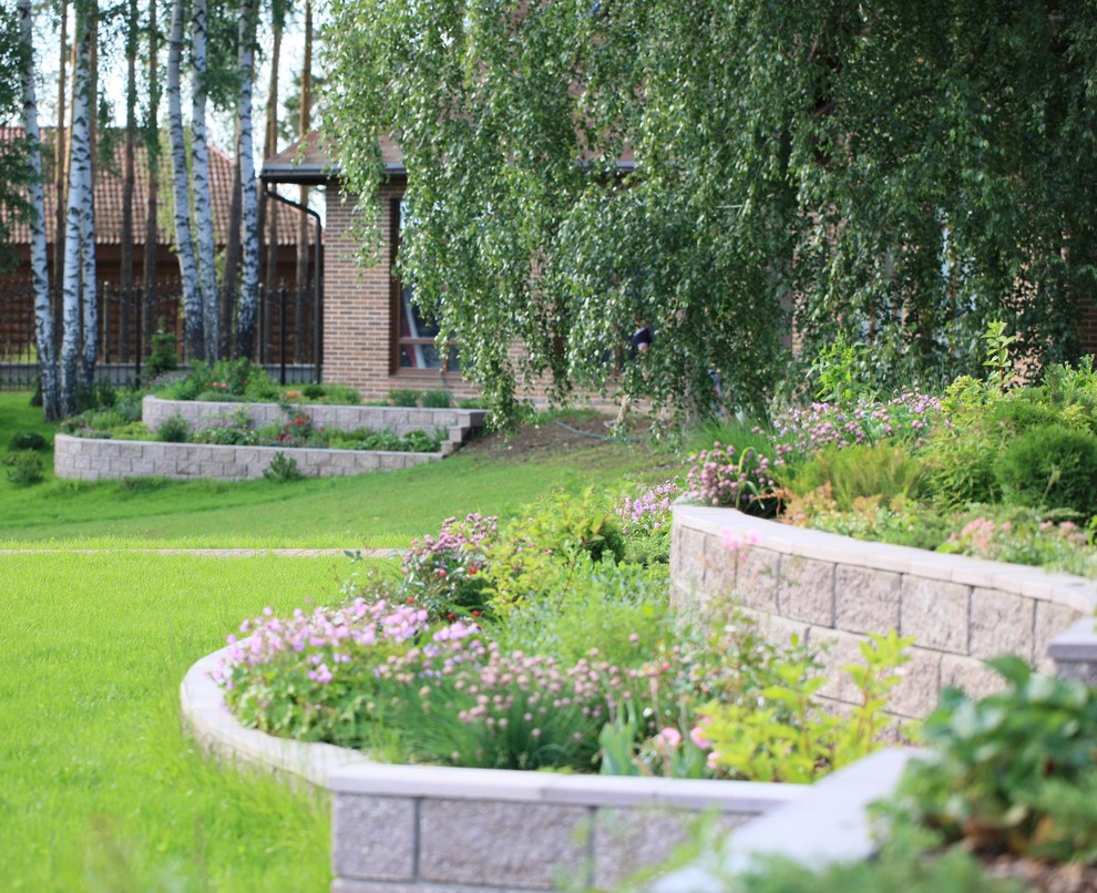 Березовая роща