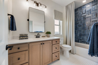 Shower Curtain or Shower Door: Which Is Right for You? (12 photos)