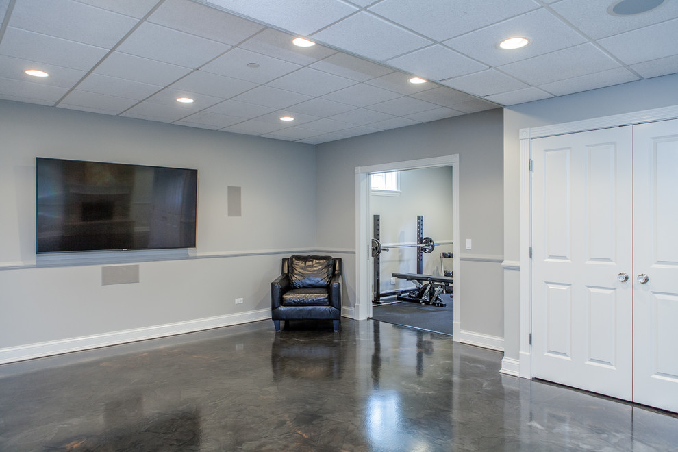 Photo of a large transitional look-out basement in Chicago with grey walls and concrete floors.