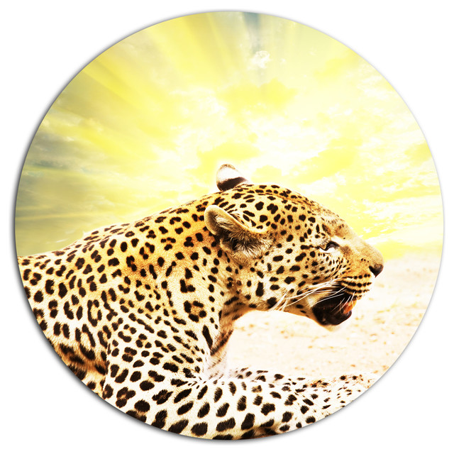 Ferocious Leopard At Sunrise, Animal Round Metal Wall Art