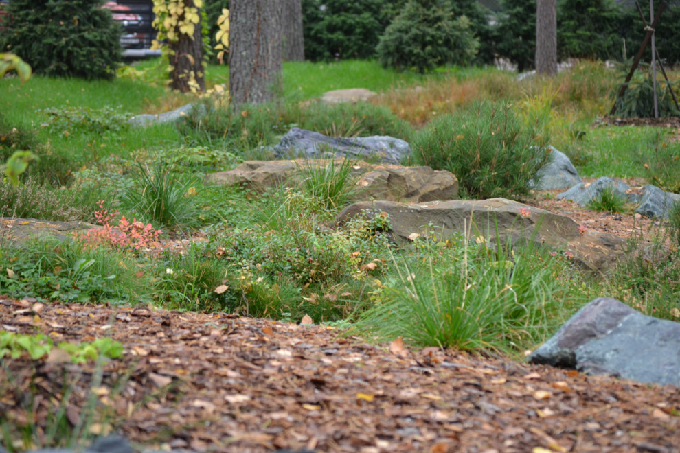 Райт и Ленинградский лес