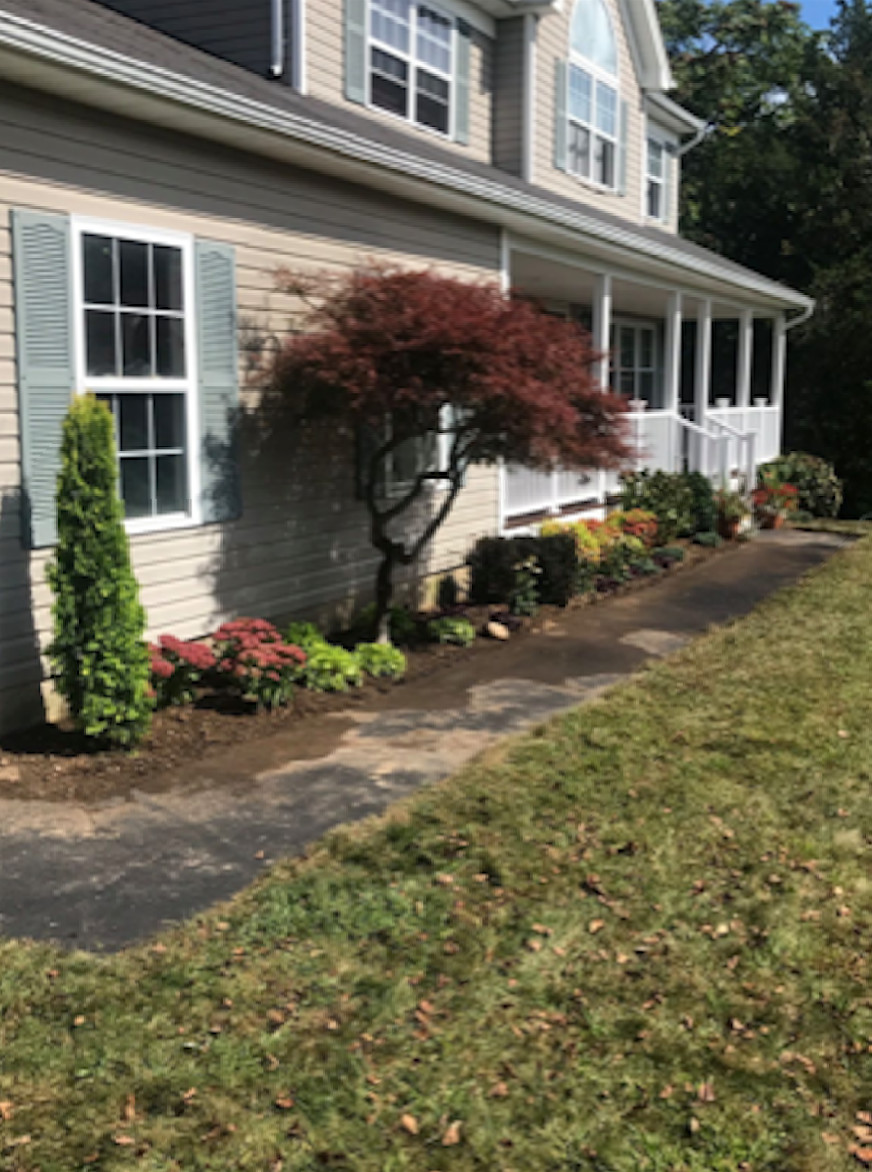 Softscape Projects