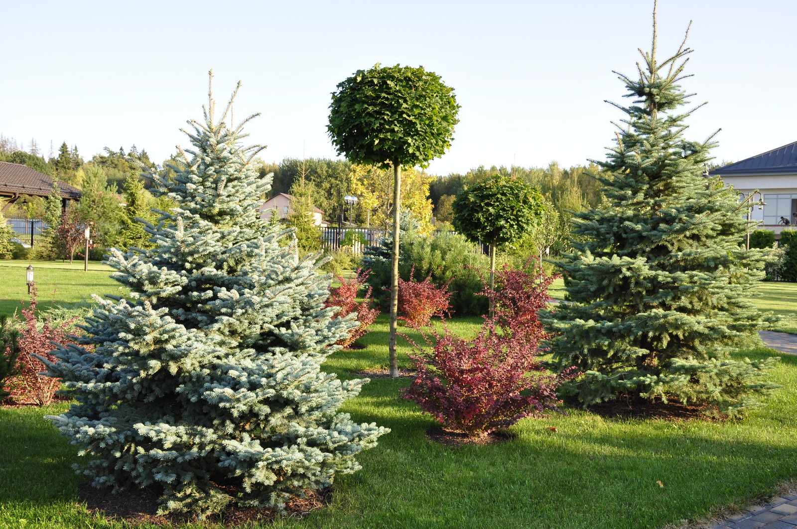 кп "Папушево" - Профессиональный уход за садом - 100% качество!