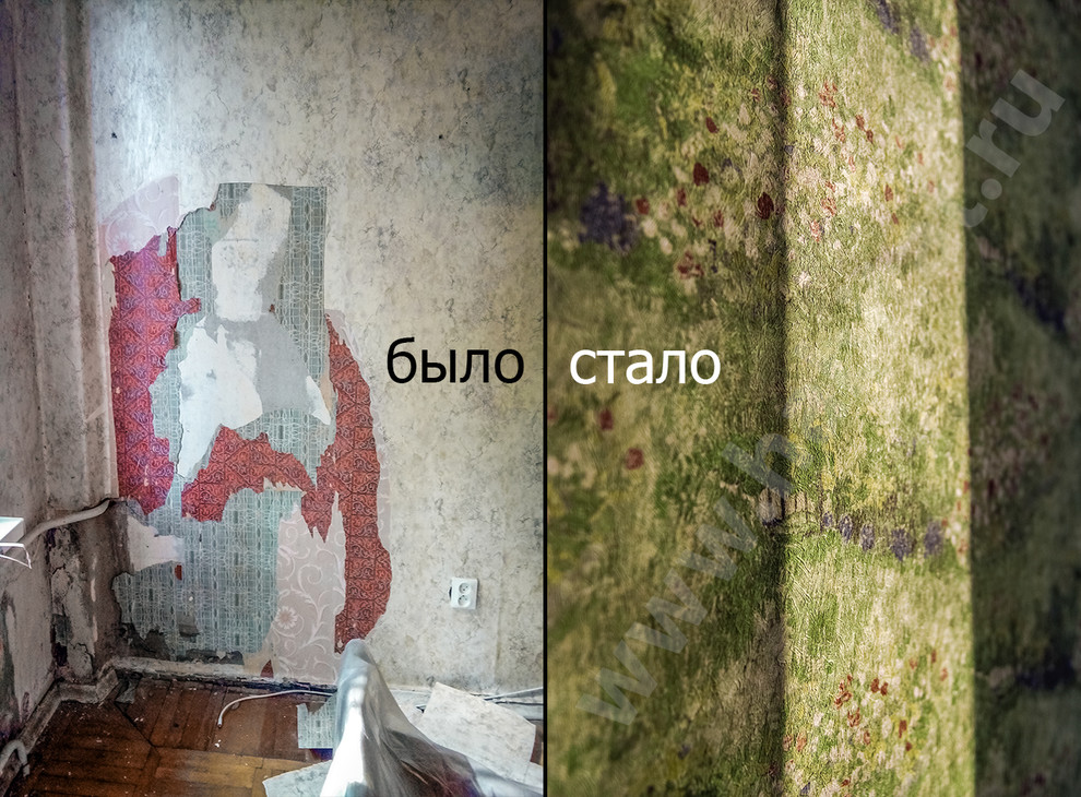 Комната для умной девушки