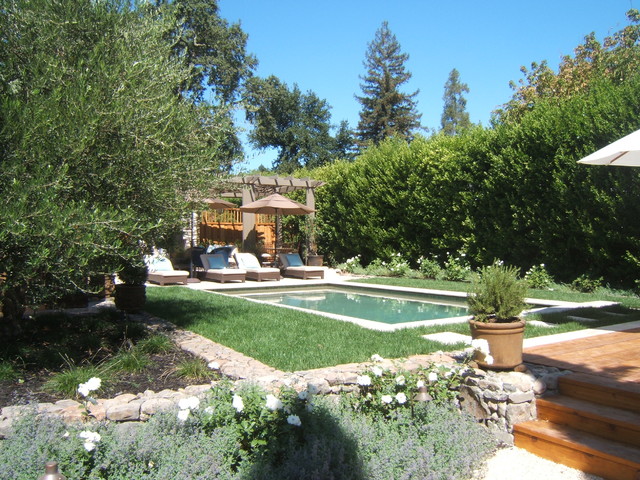 Wine Country Retreat mediterranean-pool