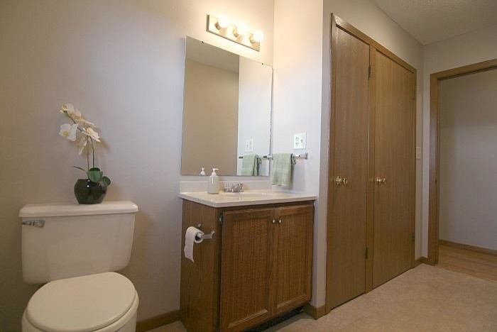 Transitional bathroom photo in Cedar Rapids
