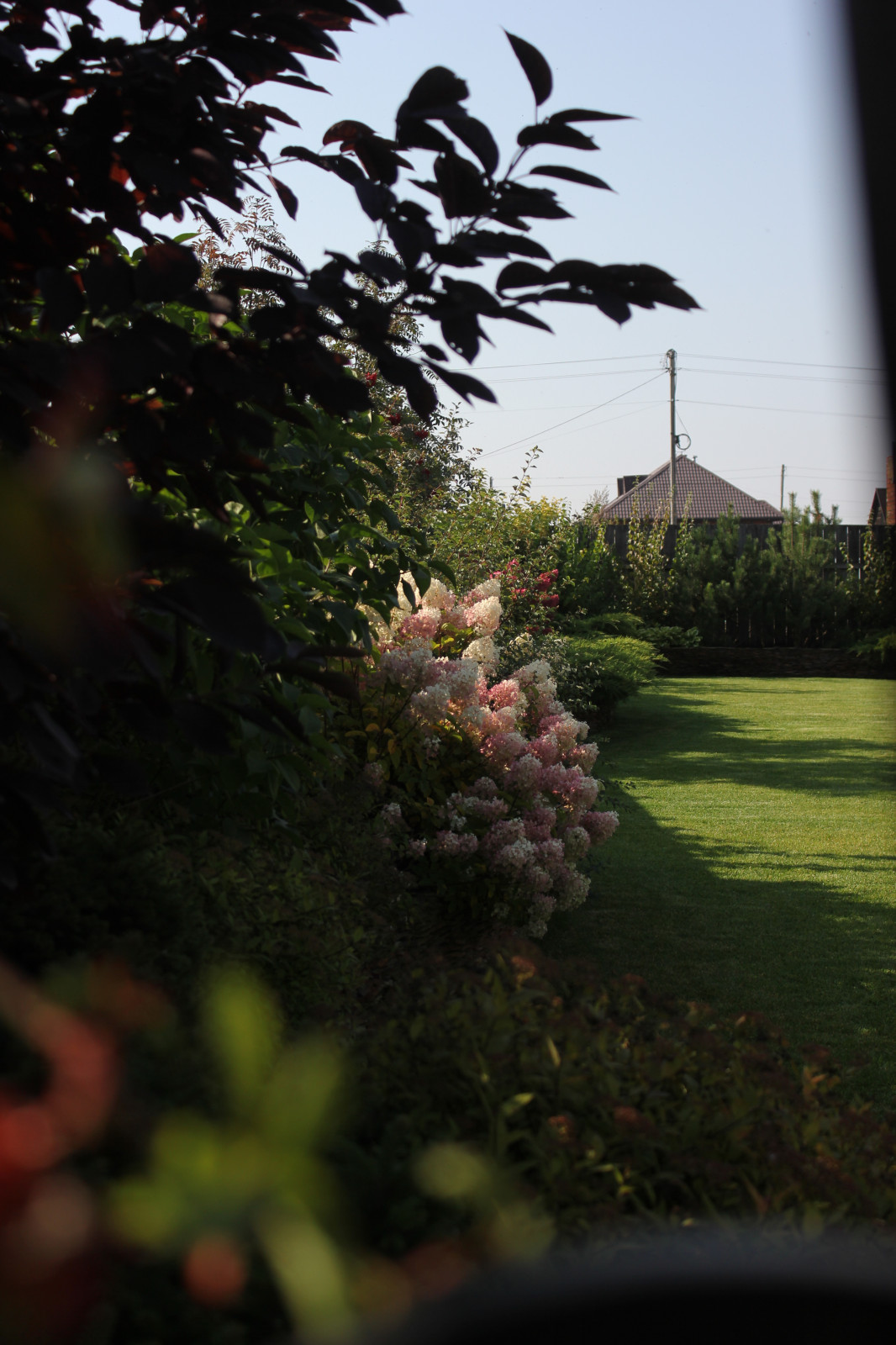 В гостях у Сказки