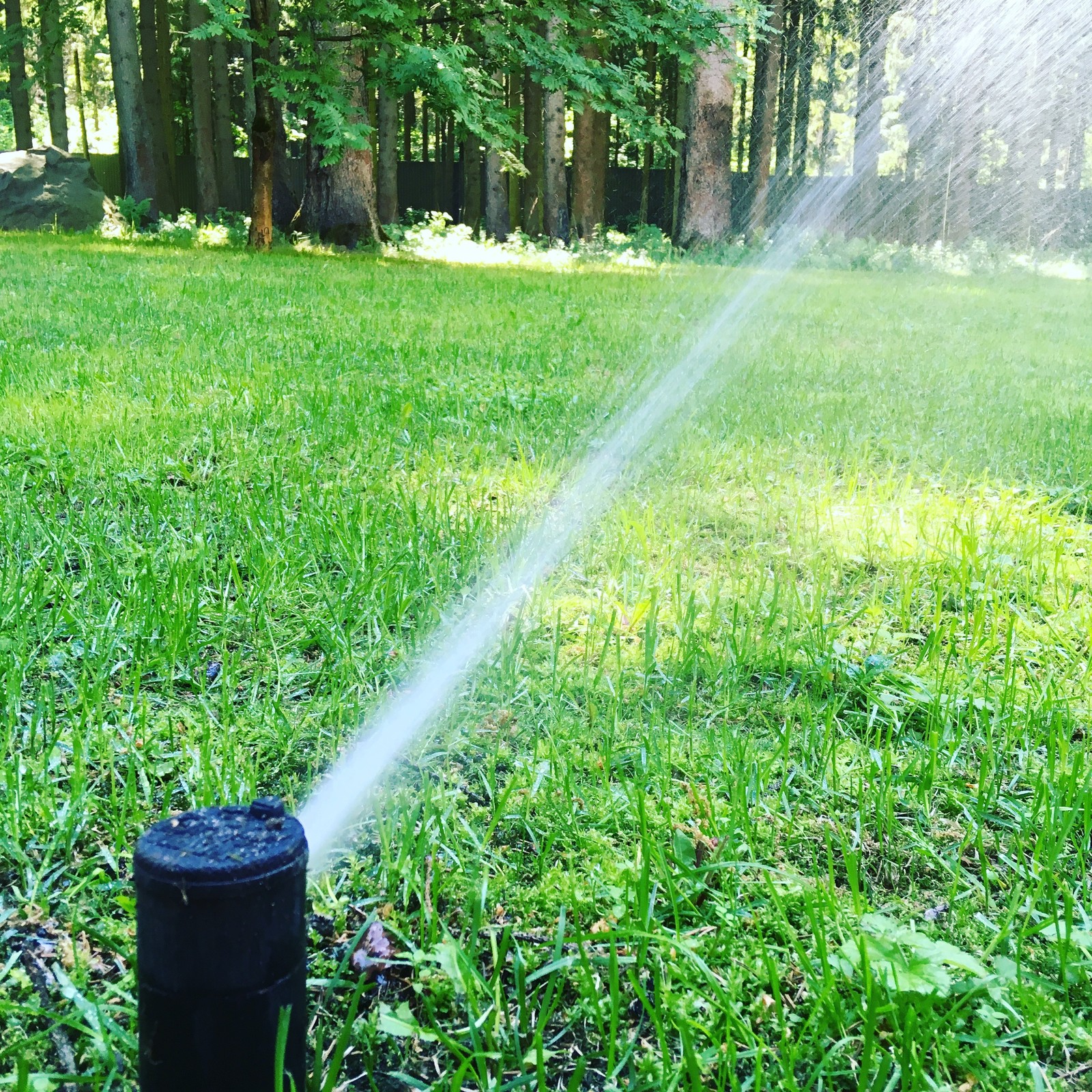 Автоматический полив - полив ротором  радиус до 15 метров