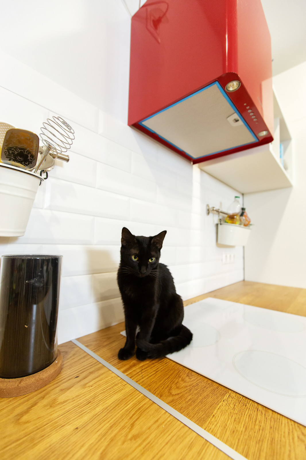 Дизайнерский ремонт в ЖК "Пять звезд", кухня-гостиная, Воронеж