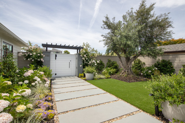 Belvedere Landscaping modern-garden