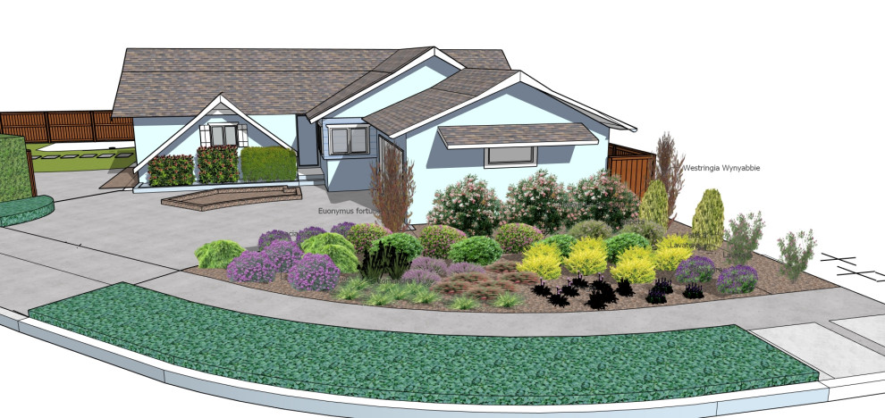 Rebate for Lawn Replaced with Drought Tolerant Planting