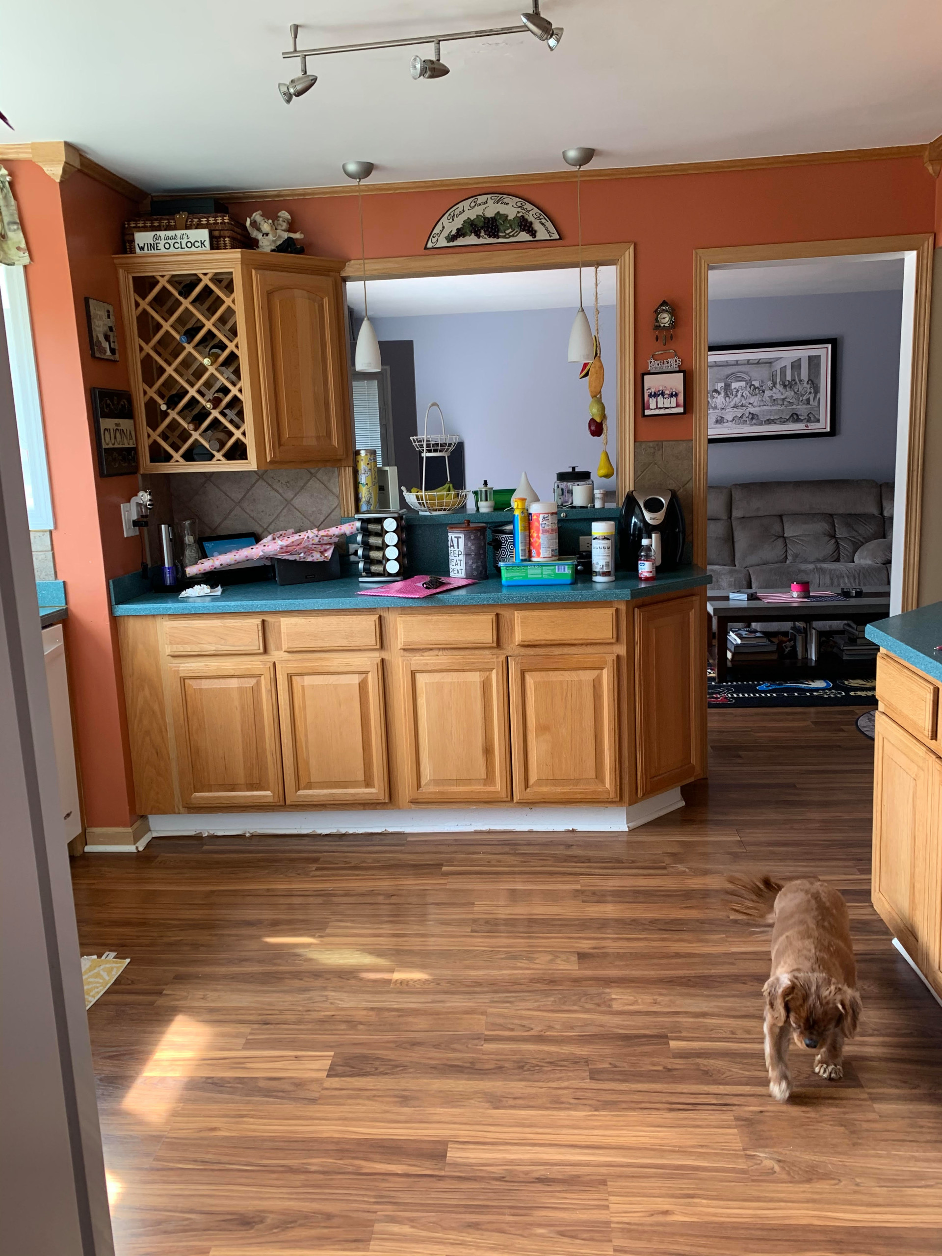 Kitchen Cabinet + Painting