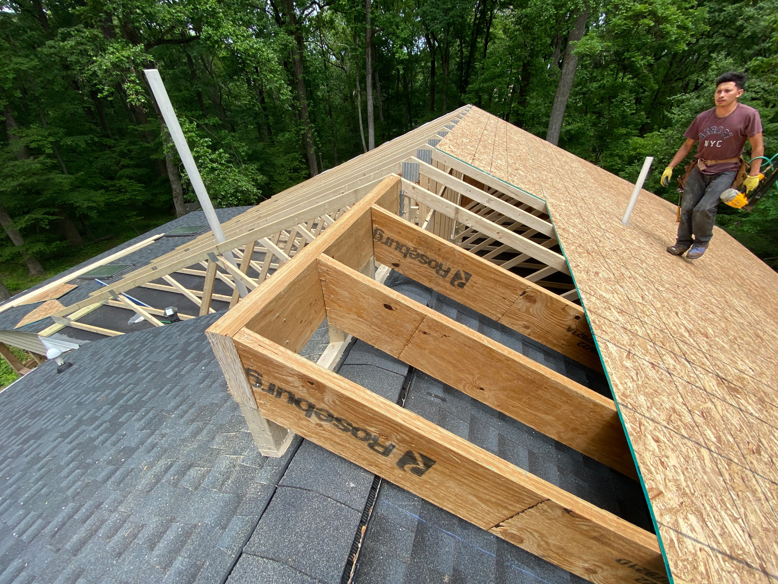 Roof Addition