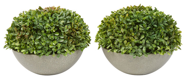 Pure Garden 2-Piece Realistic Boxwood Topiary in Stone Bowls