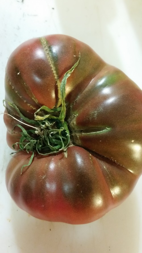 What Causes Tomato Skins To Crack A Smile