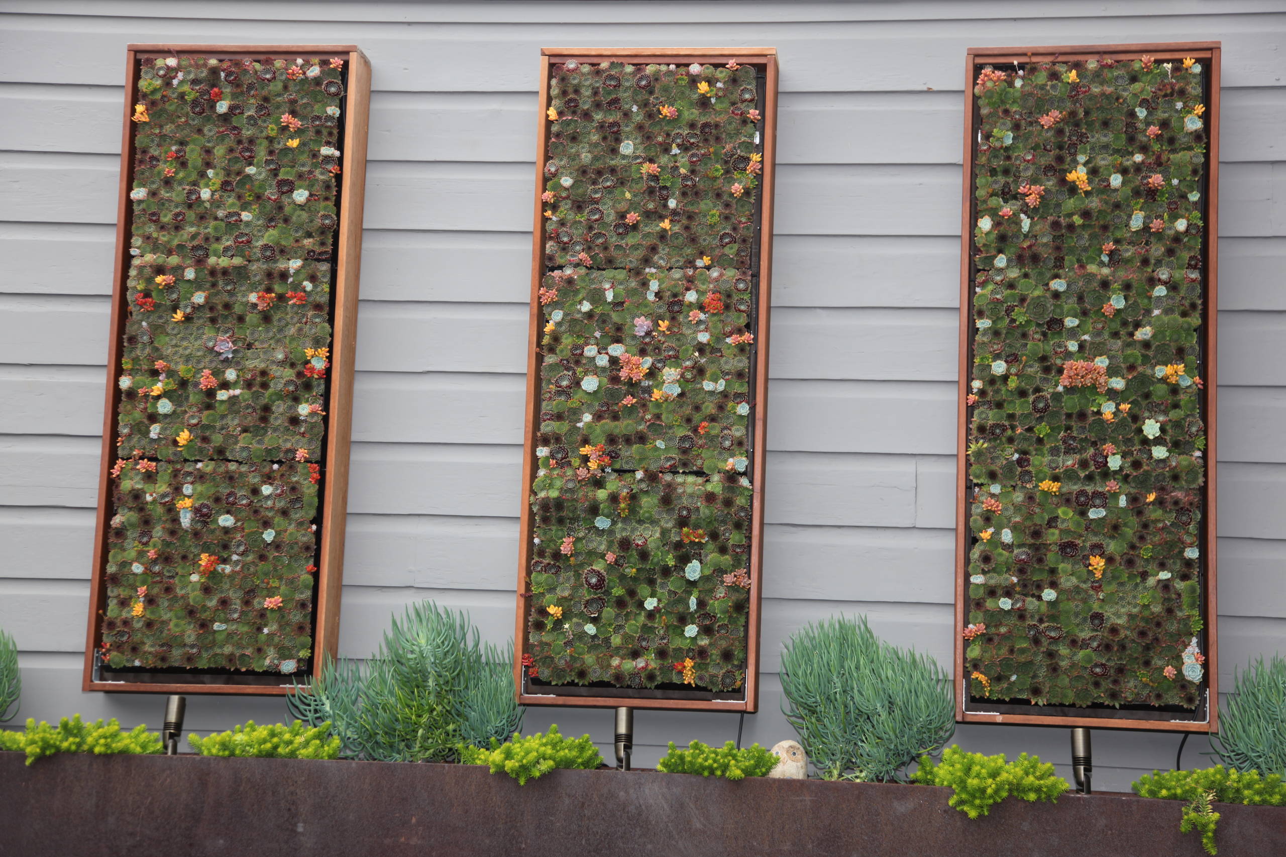 A Modern San Francisco Front Entry Garden