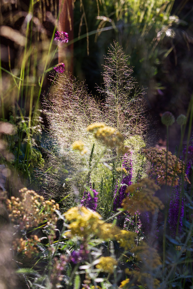Сад   James Alexander-Sinclair  на Moscow Flower Show 2018  (вне  конкрса)