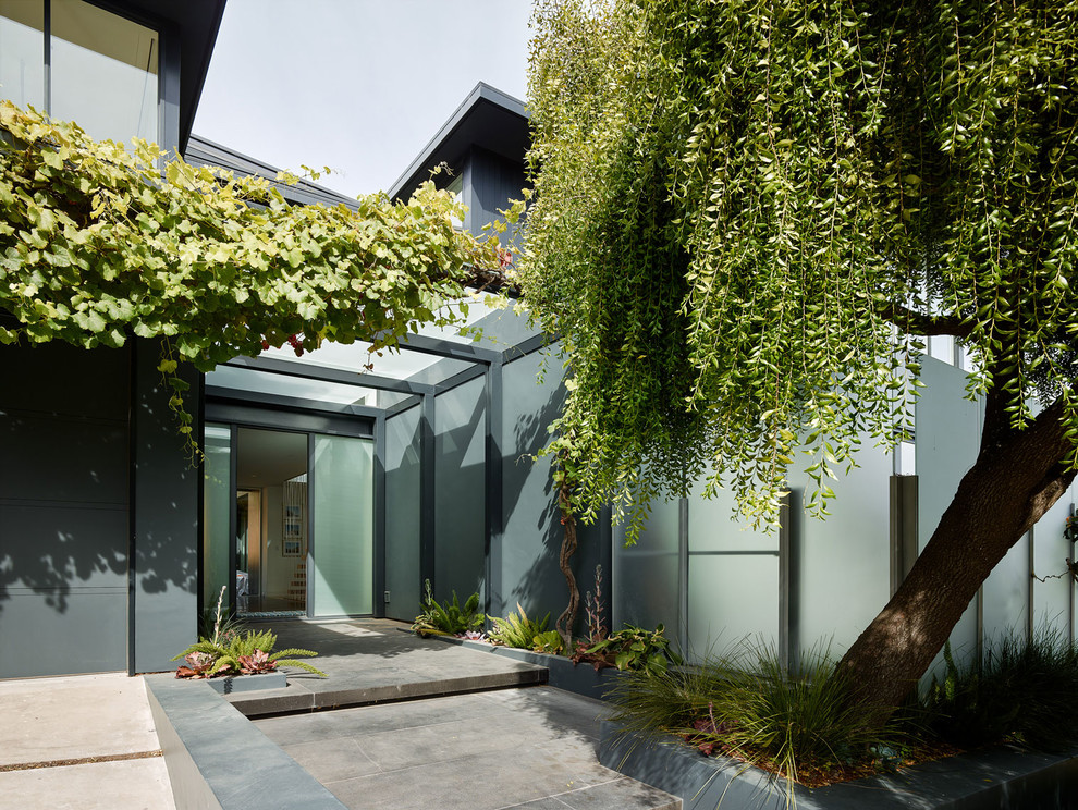 Mid-sized contemporary front door in San Francisco with grey walls, a single front door, a glass front door and grey floor.