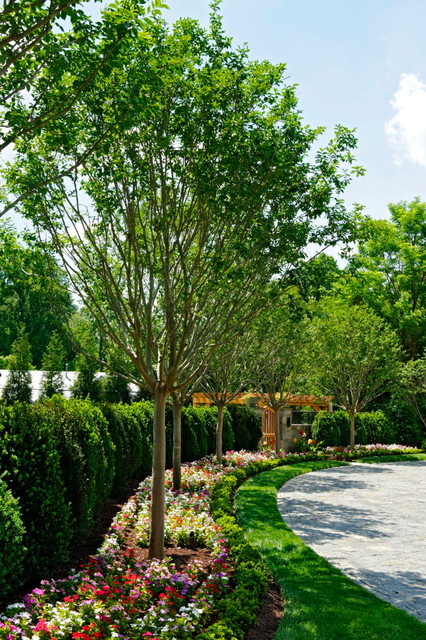 Vibrant Surroundings contemporary-garden