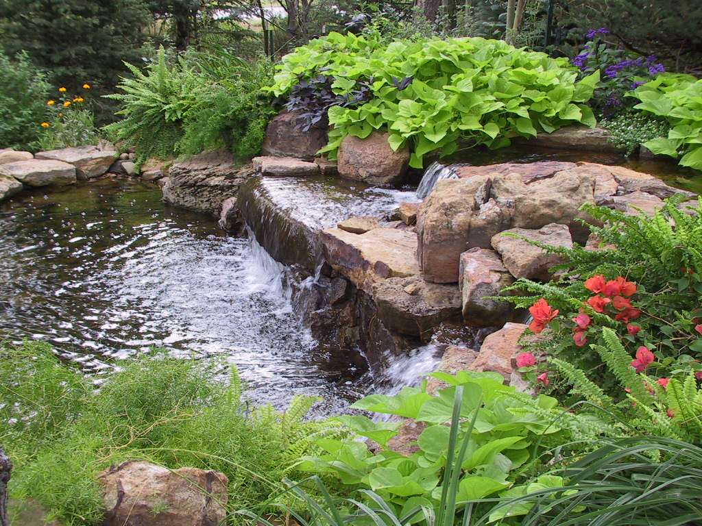 Water Gardens