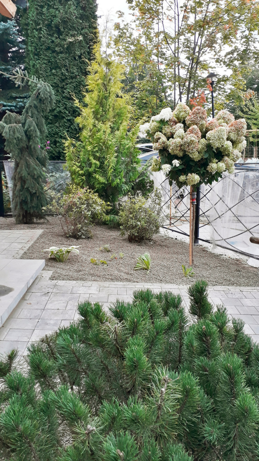 Сад при таунхаусе