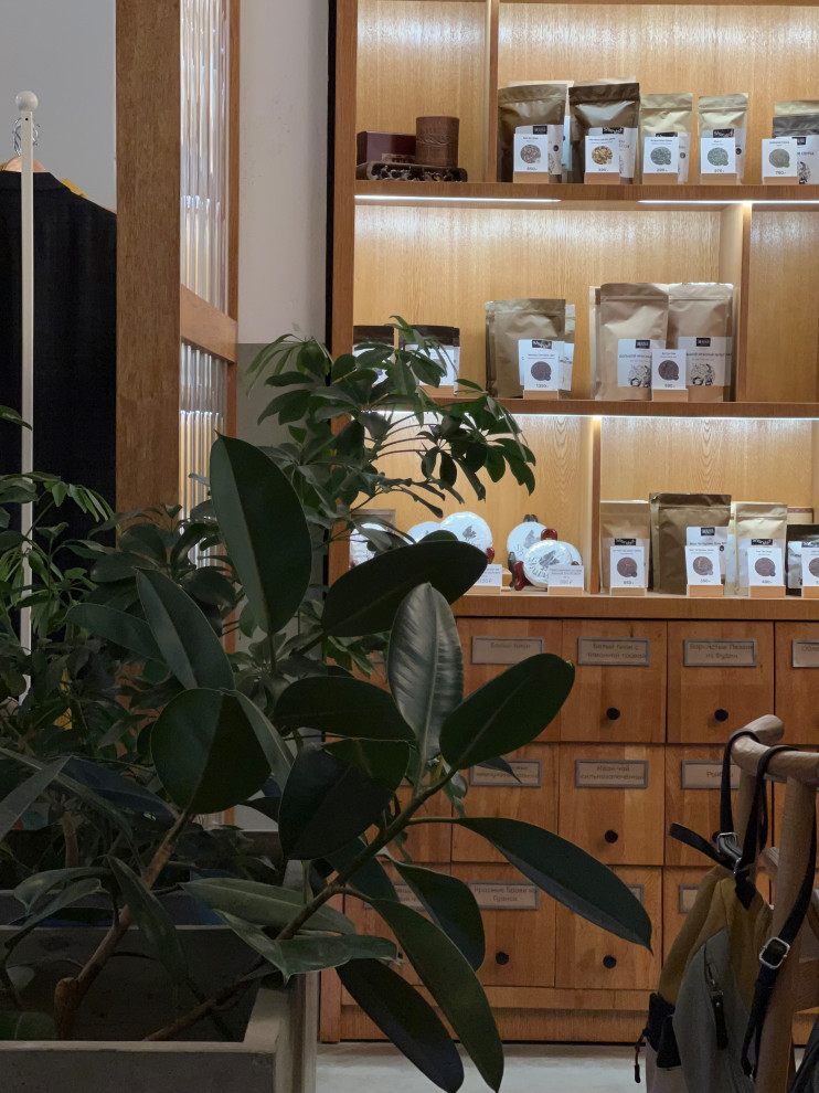 Проект кофейни Shurubor