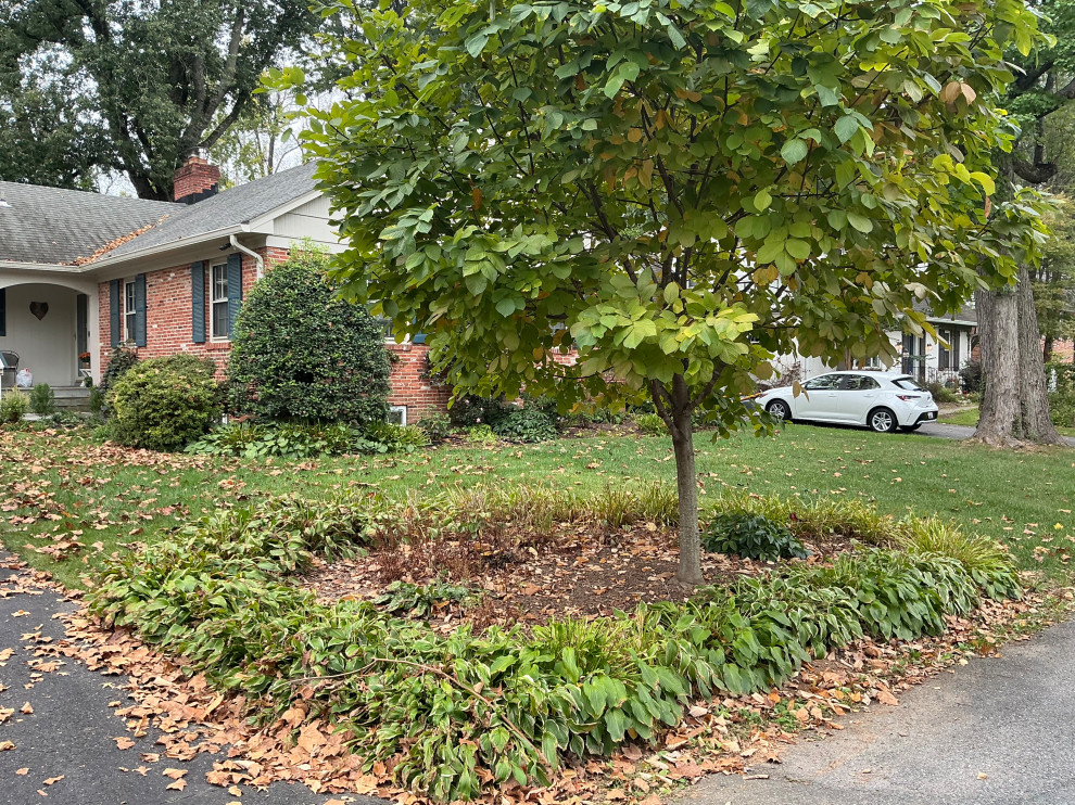 Front Yard Revival: Restoring Curbside Elegance with Native Plants and purpose