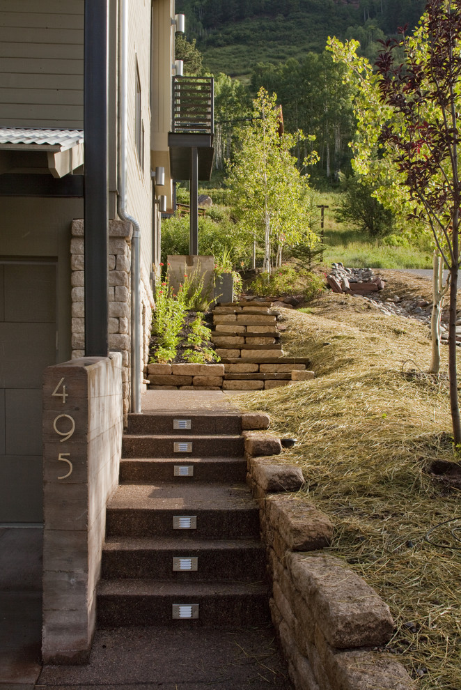 This is an example of a contemporary garden in Denver.