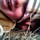 brooke_hay