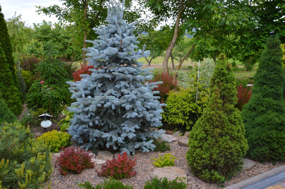 Участок за городом