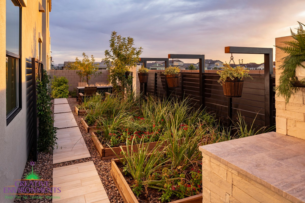 Großer, Halbschattiger Moderner Garten im Sommer, hinter dem Haus mit Wüstengarten, Natursteinplatten und Metallzaun in Phoenix
